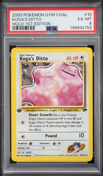 Fanatics Collect