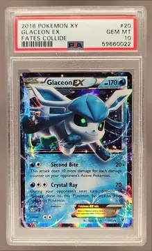 Fanatics Collect
