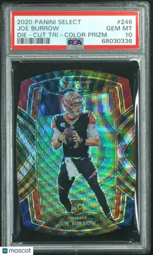 Fanatics Collect