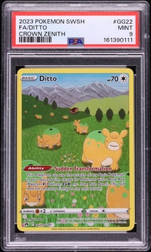 Fanatics Collect