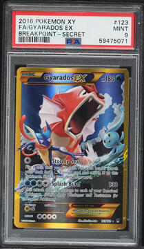 Fanatics Collect
