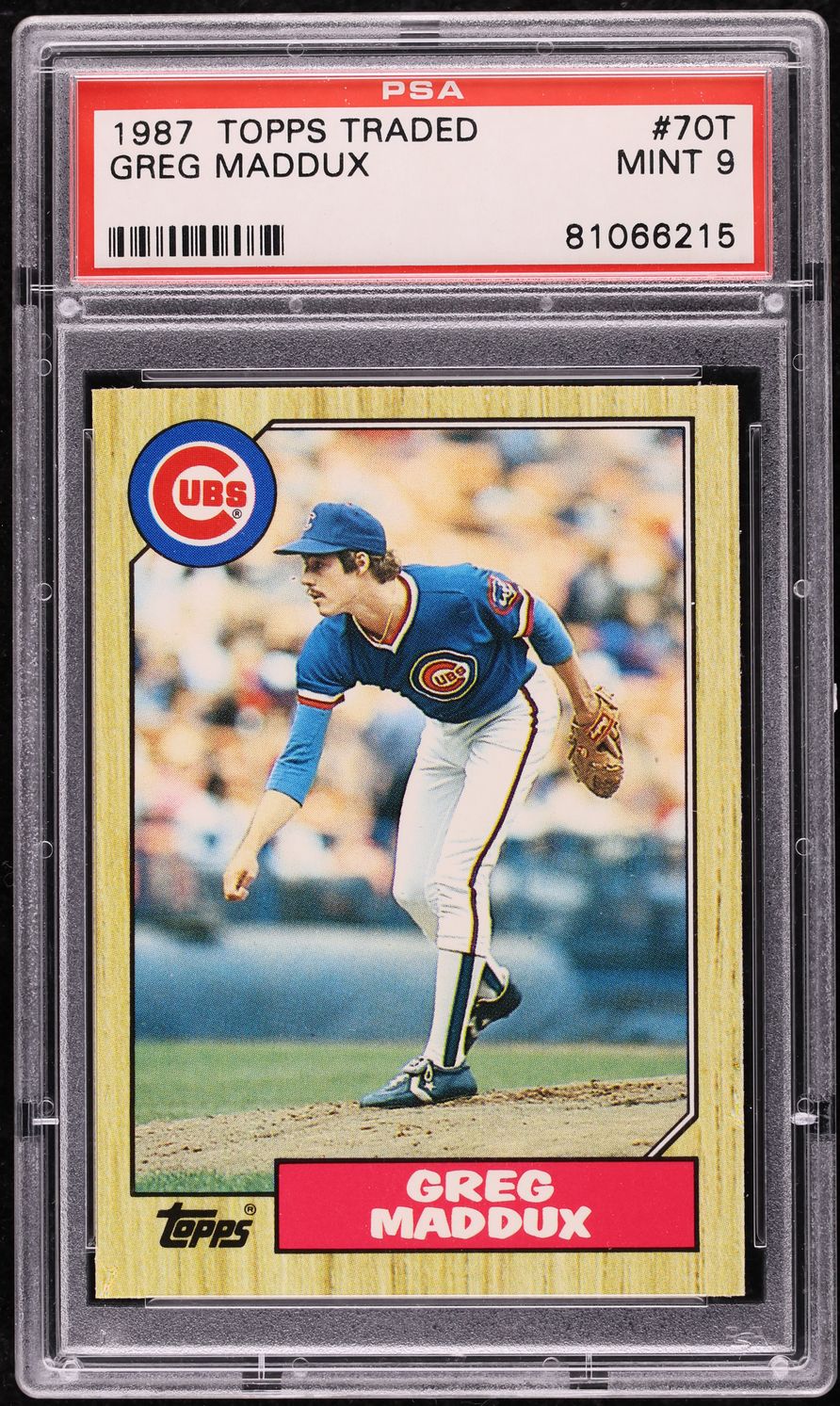 Fanatics Collect