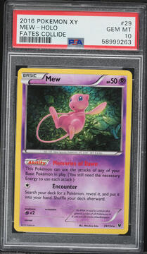 Fanatics Collect