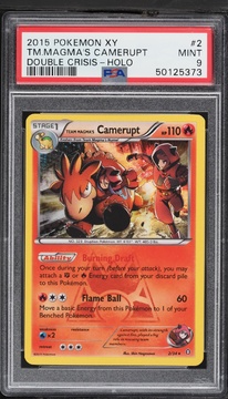 Fanatics Collect
