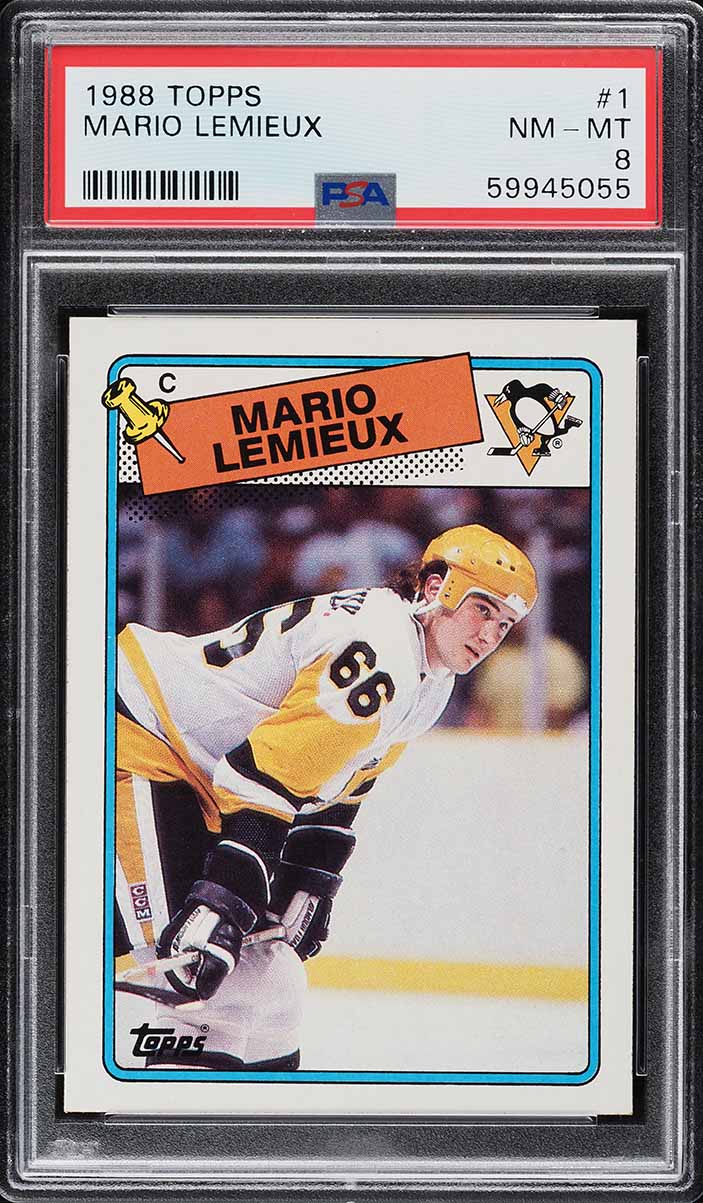 Fanatics Collect