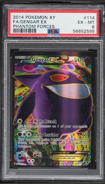 Fanatics Collect