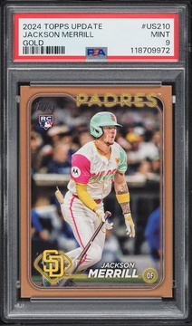 Fanatics Collect