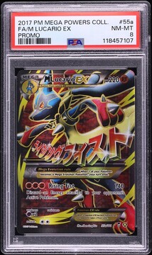Fanatics Collect