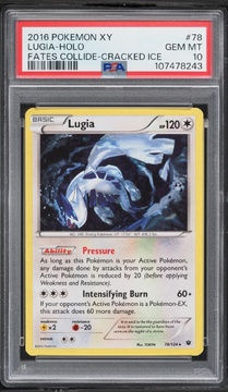 Fanatics Collect