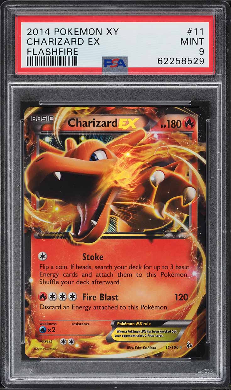 Fanatics Collect