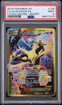 Fanatics Collect