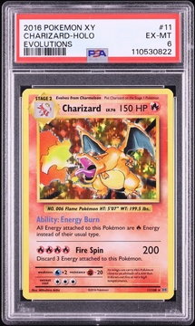 Fanatics Collect