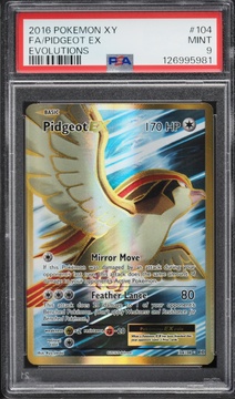 Fanatics Collect