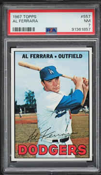 Fanatics Collect