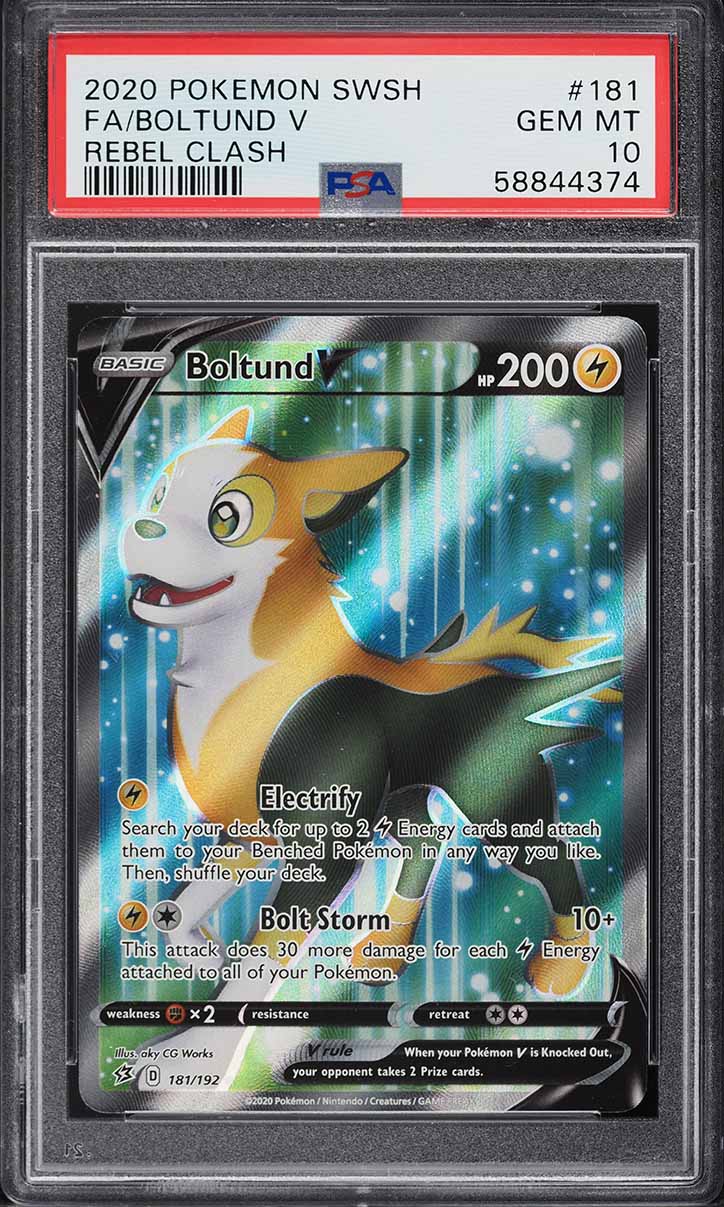 Fanatics Collect