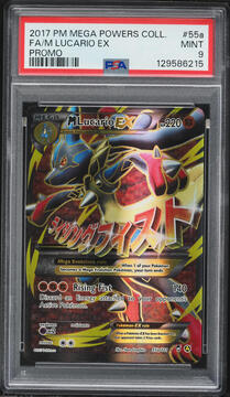 Fanatics Collect