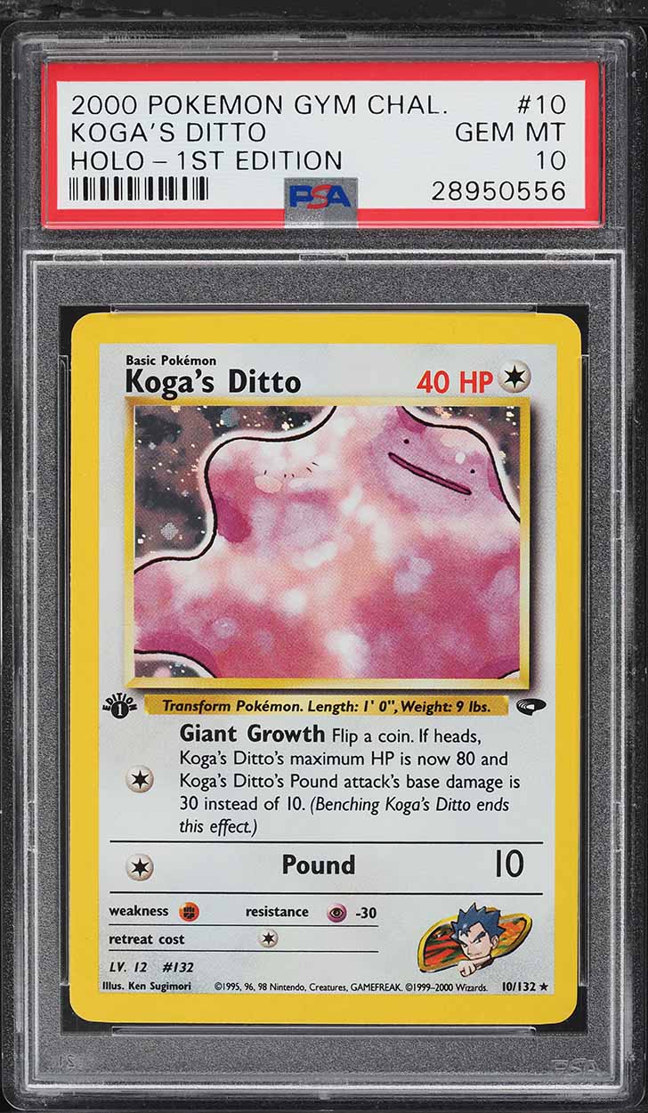 Fanatics Collect