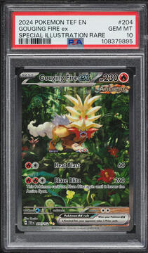 Fanatics Collect