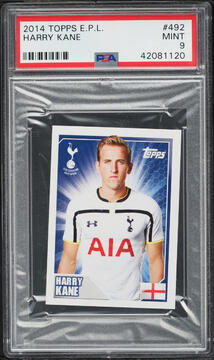 Fanatics Collect