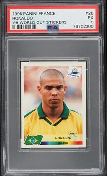 Fanatics Collect