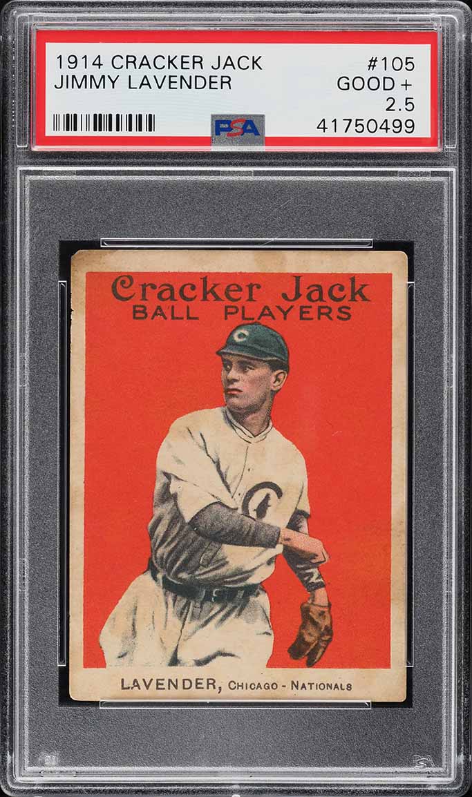 Fanatics Collect