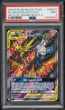 Fanatics Collect