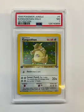 Fanatics Collect