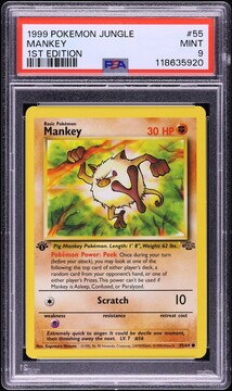 Fanatics Collect