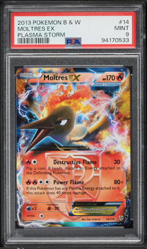 Fanatics Collect