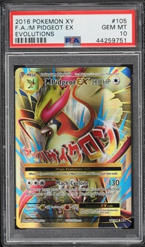 Fanatics Collect