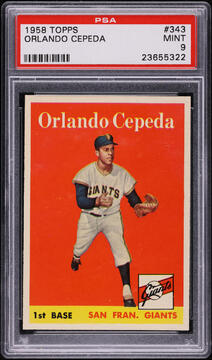 Fanatics Collect