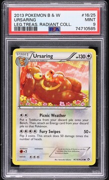 Fanatics Collect