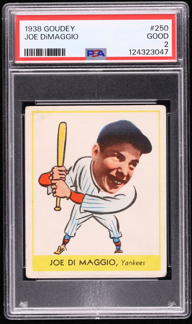 Fanatics Collect