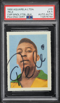 Fanatics Collect