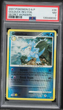 Fanatics Collect