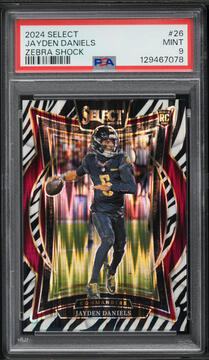 Fanatics Collect