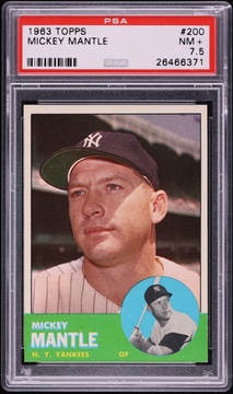 Fanatics Collect