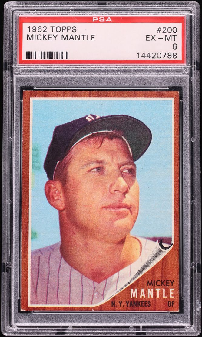 Fanatics Collect