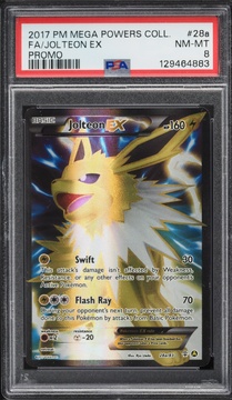 Fanatics Collect