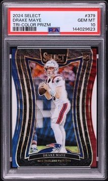 Fanatics Collect
