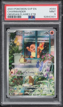 Fanatics Collect