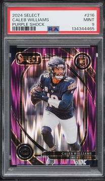 Fanatics Collect