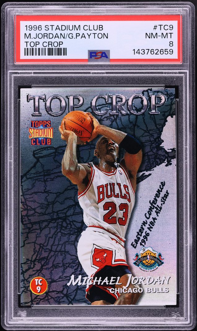 Fanatics Collect