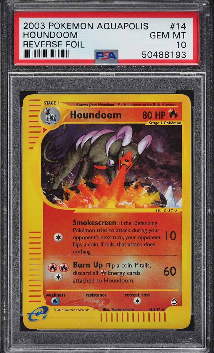 Fanatics Collect