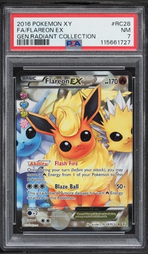 Fanatics Collect