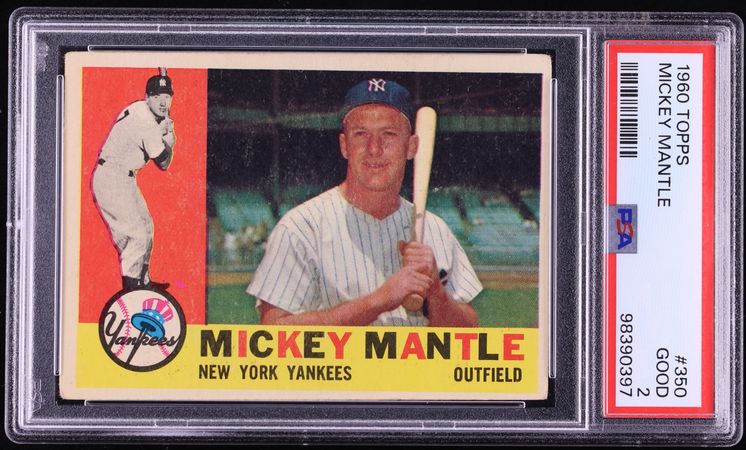 Fanatics Collect