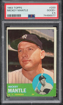 Fanatics Collect