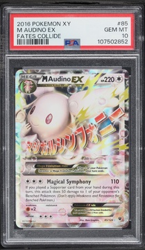 Fanatics Collect