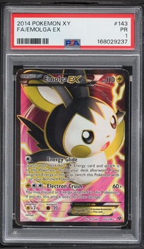 Fanatics Collect