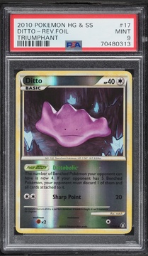 Fanatics Collect